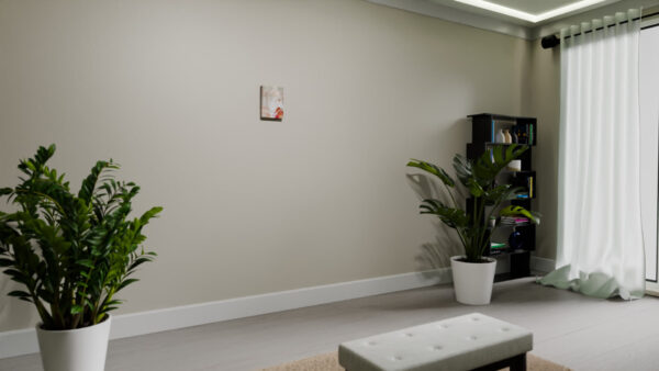 "Contesele" - Image 3